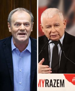 KO niemal remisuje z PiS. Najnowszy sondaż