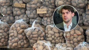 Zapaść na rynku ziemniaka. Były wiceminister: mogę tylko współczuć