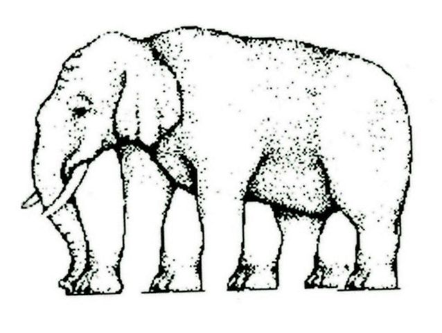 Ile nóg ma słoń? Słynna zagadka podzieliła internautów