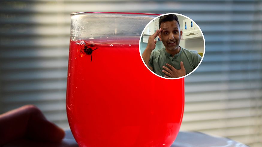 Moneta może chronić przed owadami. Sprawdź, jak to działa