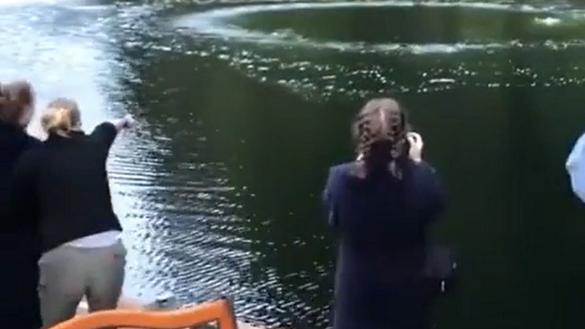 Z wody nagle wynurzyły się trzy humbaki