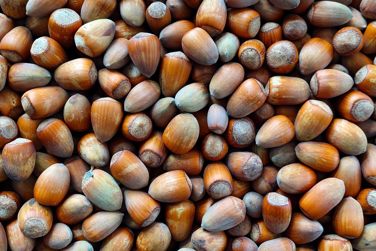 Hazelnuts: Boost heart health, lower cholesterol, and aid weight loss