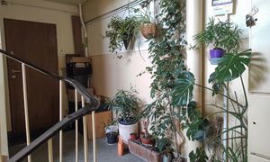 Koniec z automatycznym dziedziczeniem tych mieszkań. Zmiany w prawie