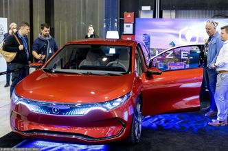 Izera nie dojedzie do salonów? Druzgocące wyniki kontroli