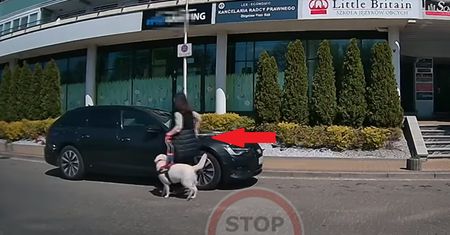 Skandal czy przypadek? Niewidoma kobieta i szeryf z Audi