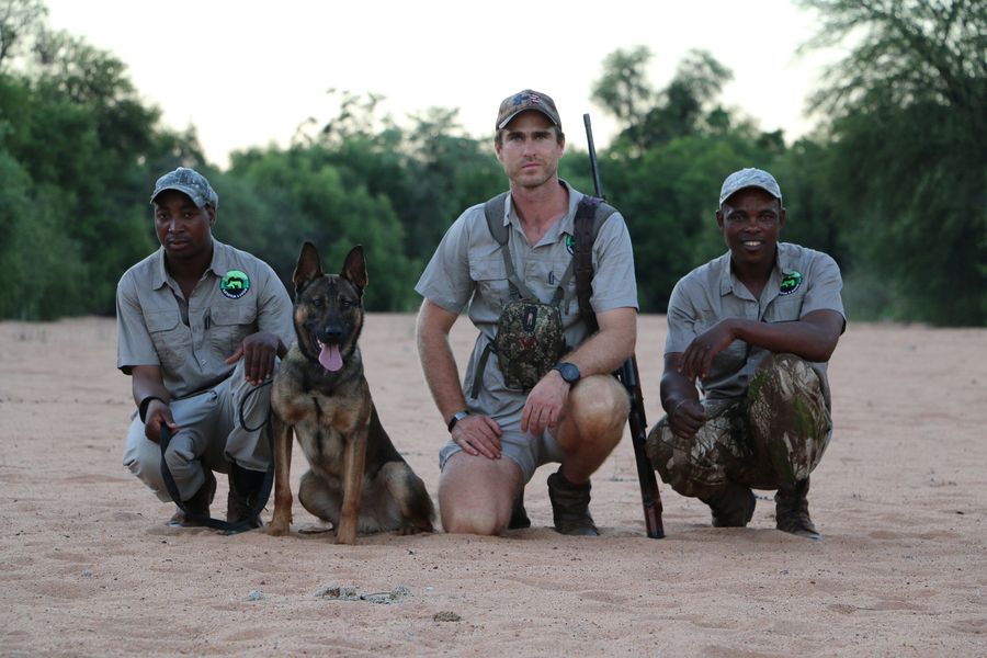 Dogs 4 Wildlife ratują zagrożone gatunki przed kłusownikami