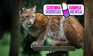 Wyjątkowy ośrodek na Warmii i Mazurach. Będzie dbał o zagrożony gatunek