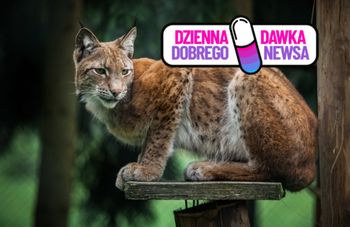 Wyjątkowy ośrodek na Warmii i Mazurach. Będzie dbał o zagrożony gatunek