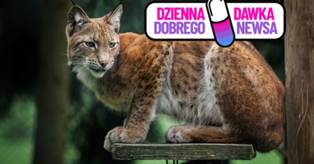 Wyjątkowy ośrodek na Warmii i Mazurach. Będzie dbał o zagrożony gatunek