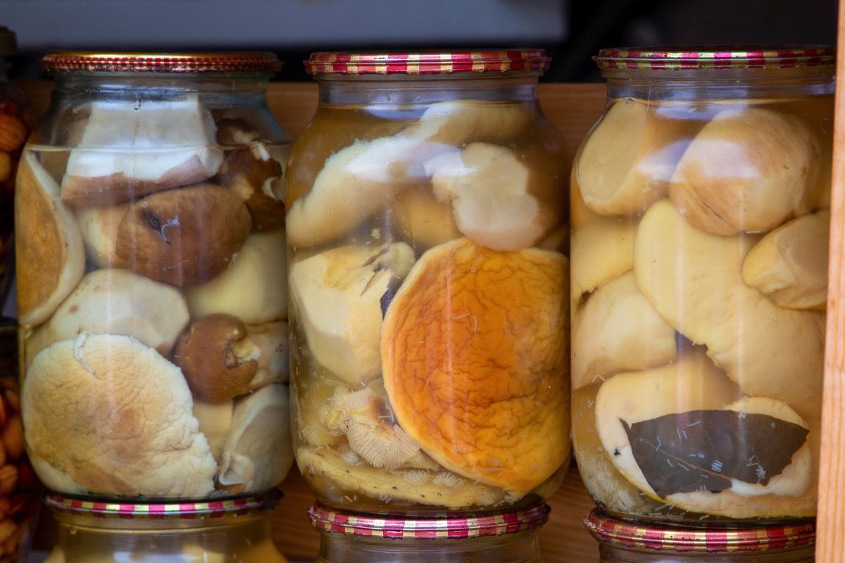 Ostatnie grzyby solę i zamykam w słoik. Przepis podpatrzyłam u mojej teściowej
