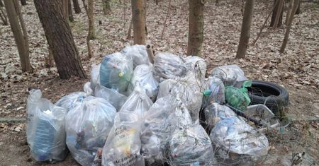 Zebrali 40 ton śmieci. Takiego znaleziska nikt się nie spodziewał