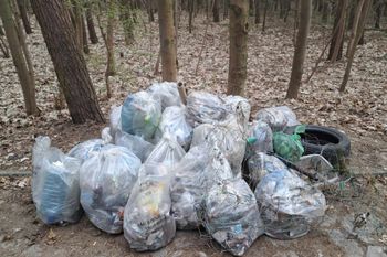 Zebrali 40 ton śmieci. Takiego znaleziska nikt się nie spodziewał