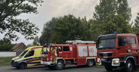 Tragiczny finał poszukiwań 38-latka ugryzionego przez szerszenia