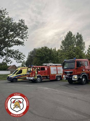 Młynkowo: Tragiczny finał poszukiwań 38-latka ugryzionego przez szerszenia