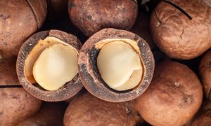 Polacy omijają maślane orzechy, a szkoda. Pomagają utrzymać cholesterol w ryzach