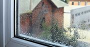 Połóż na parapecie. Rano nie zobaczysz na szybach ani kropli wilgoci