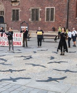 Wrocław. "Zatrzymajmy rzeź ptaków! #NiechLecą!". Protest w Rynku