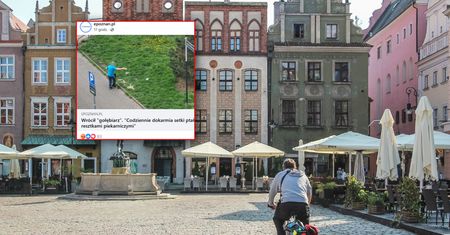 Wrócił "gołębiarz". Ludzie są bezradni