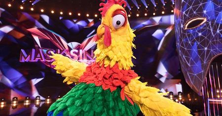Kogut zdemaskowany? Dziennikarz TVN24 się wygadał