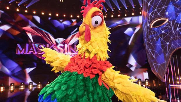 Wiadomo, kto jest Kogutem z "Mask Singer"