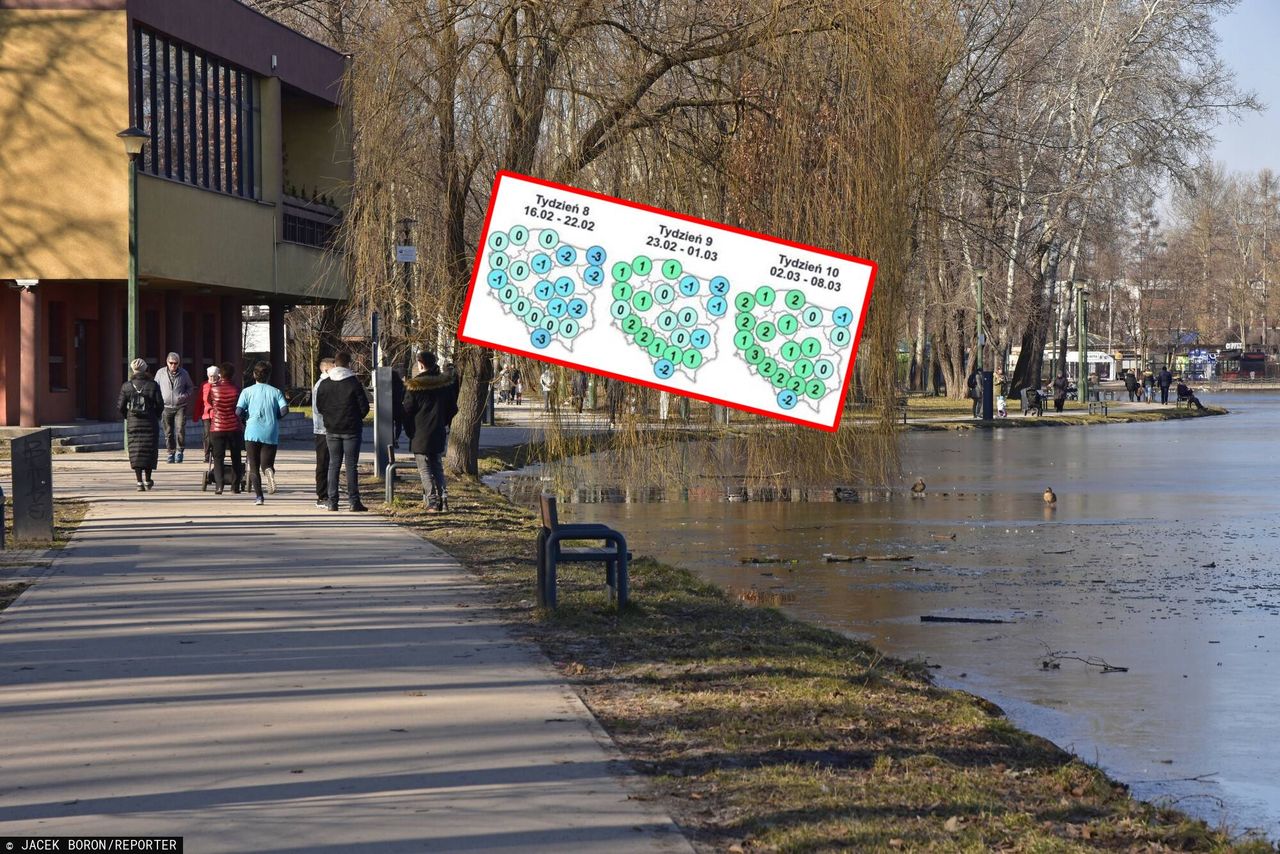 Wiosna zapuka do drzwi. Zobacz długoterminową prognozę pogody