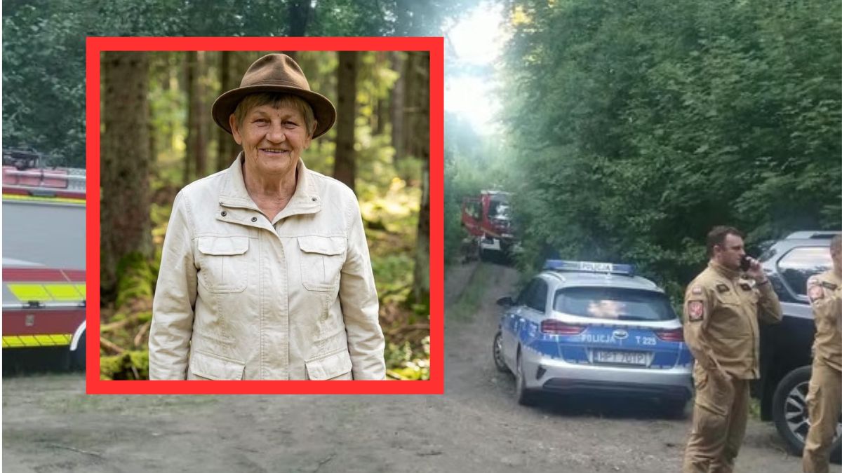 Pani Wanda wyszła na grzyby do lasu i zaginęła.