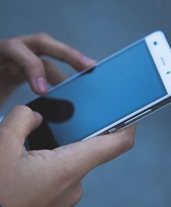Znalazła na OLX lampę wartą tysiące. Właścicielka oddała ją za darmo