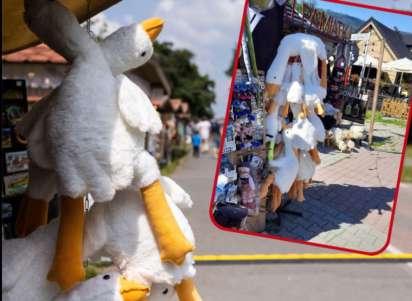 O co chodzi z maskotkami gęsi? "Pipa" zalała Polskę