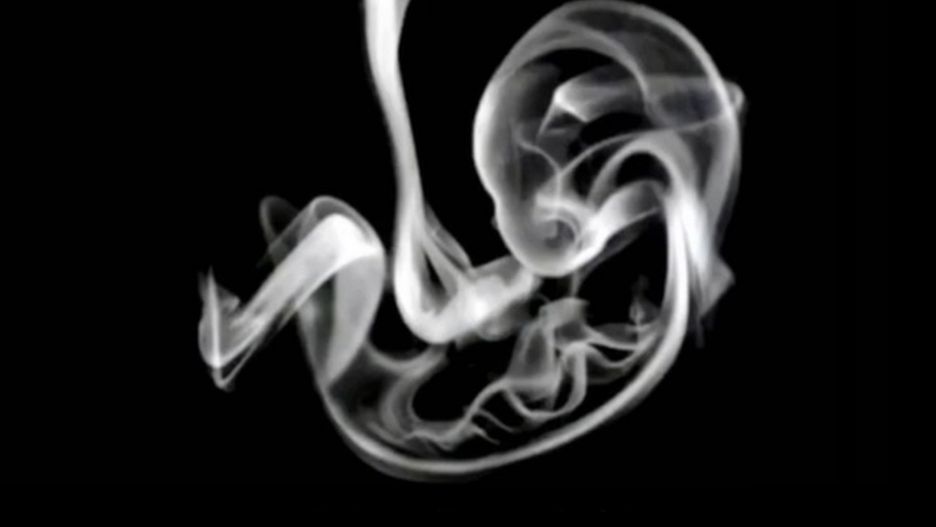 Co zobaczyłeś najpierw? Prosty test zdradzi, jaki masz charakter