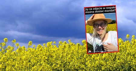 Za zdjęcie w rzepaku można dostać mandat. Policjantka tłumaczy