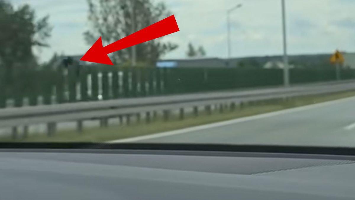 Kolizja z udziałem łosia na S8.