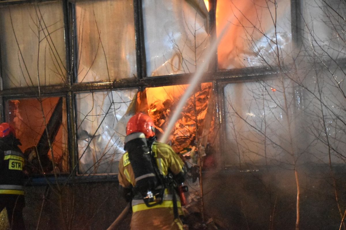 Łódź. Strażacy podczas gaszenia pożaru makulatury w hali magazynowej przy ul. Okopowej 