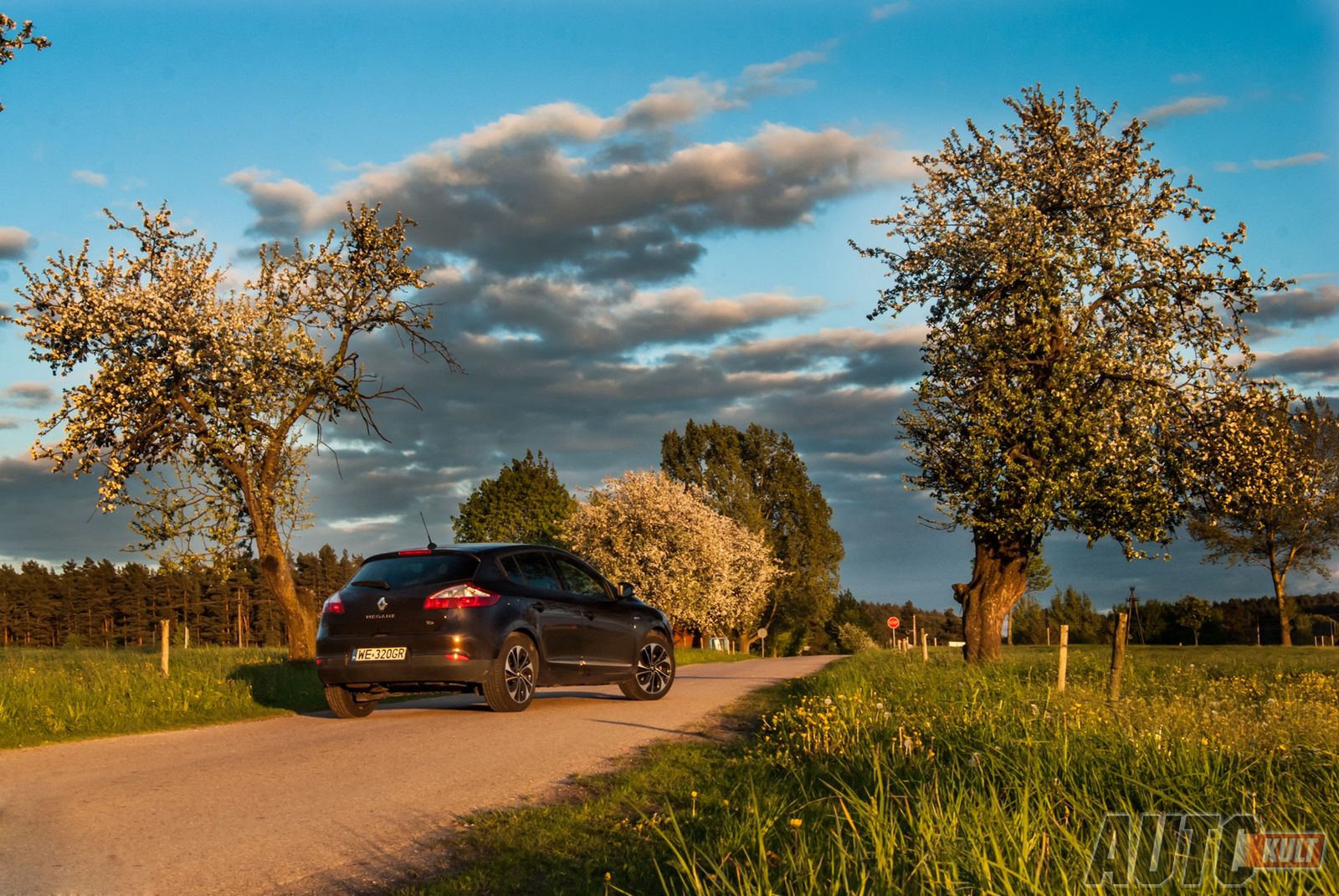 Renault Mégane 5d 1,2 TCe 130 KM BOSE - test [galeria] 33