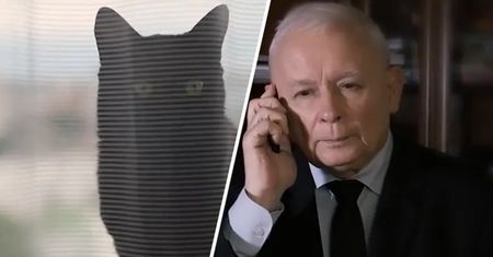Niebywałe nagranie z Kaczyńskim. "Przejdzie do historii"