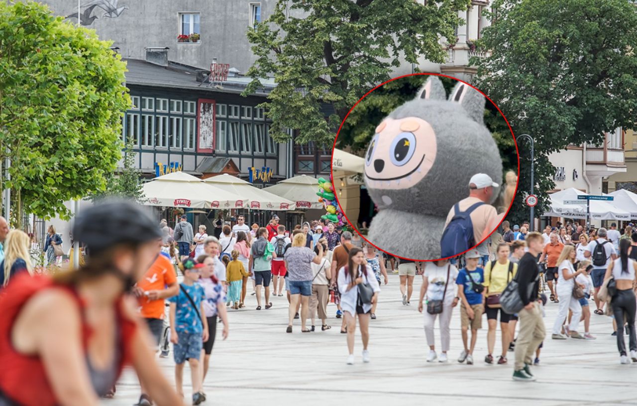 Maskotka labubu w Sopocie. Tyle chcą za jedno zdjęcie. "Brak słów"