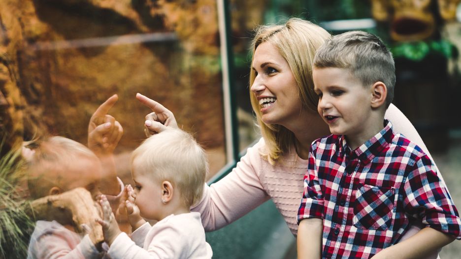 Rodzina w ogrodzie zoologicznym