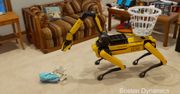 Robot-pies od Boston Dynamics ma nową umiejętności. Sadzi, sprząta i przeraża siłą