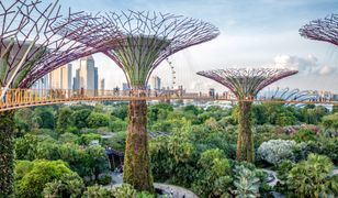 Singapur wraca do życia po pandemii. Rząd przeznaczy sporą kwotę na rozwój turystyki