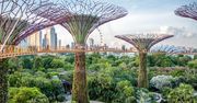 Singapur wraca do życia po pandemii. Rząd przeznaczy sporą kwotę na rozwój turystyki