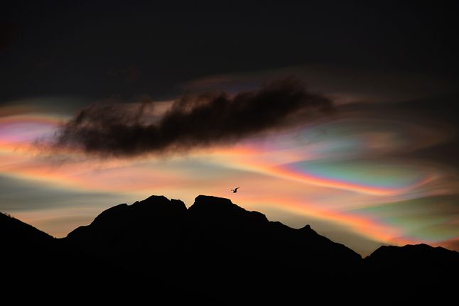 Pierwsze miejsce w konkursie profesjonalnym w kategorii Nature przypadło Bartłomiejowi Jureckiemu za cykl ”Nacereous clouds”. Piękne zdjęcia krajobrazowe ukazują charakter chmur polarnych, mieniących się niecodziennymi barwami.