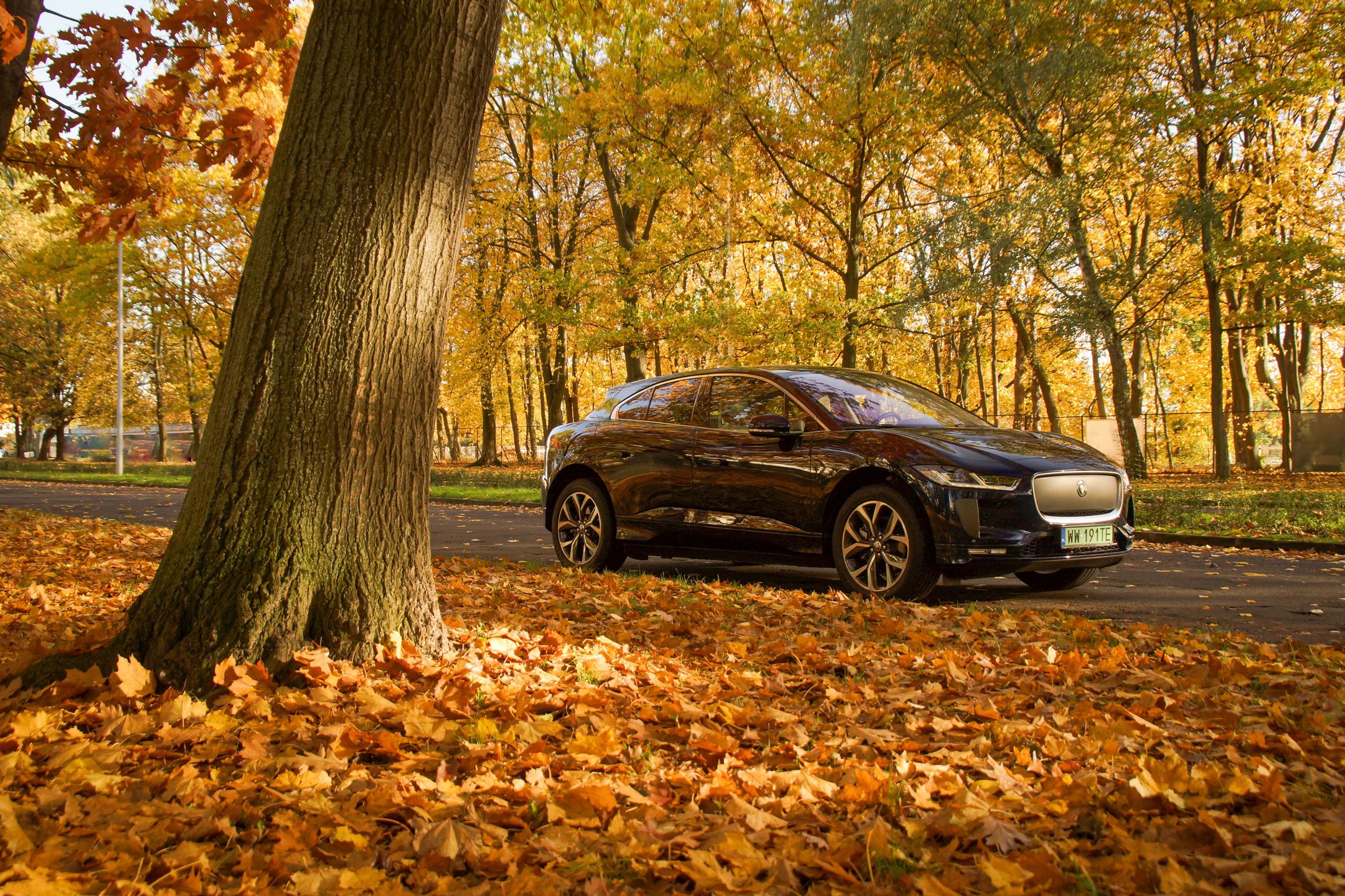 Jaguar I-Pace