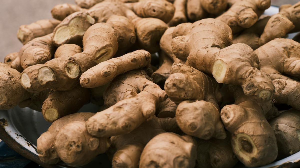 Polska wersja imbiru może odmienić uprawy 