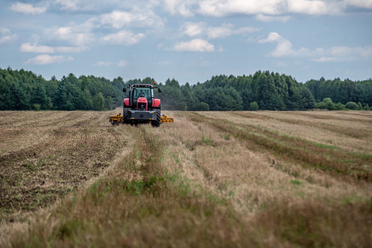 Ekoschemat Biologiczna ochrona upraw 2025 — złóż dokumenty, zanim będzie za późno!
