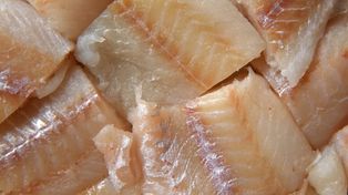 Te ryby mogą zaszkodzić. WHO ostrzega przed rtęcią