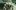 Metal Gear Solid 4 demo dopiero dziś i tylko w Japonii