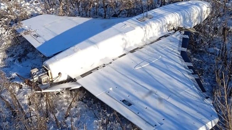 Dron Gerbera, zdjęcie ilustracyjne 