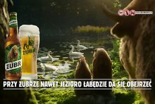 Żubr ruszył z nową kampanią