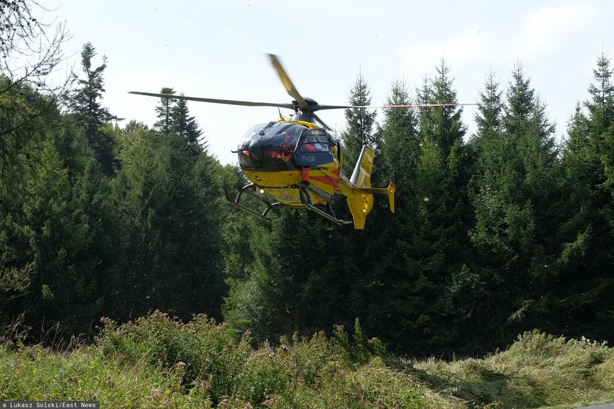 Tragiczny wypadek w lesie w woj. lubelskim