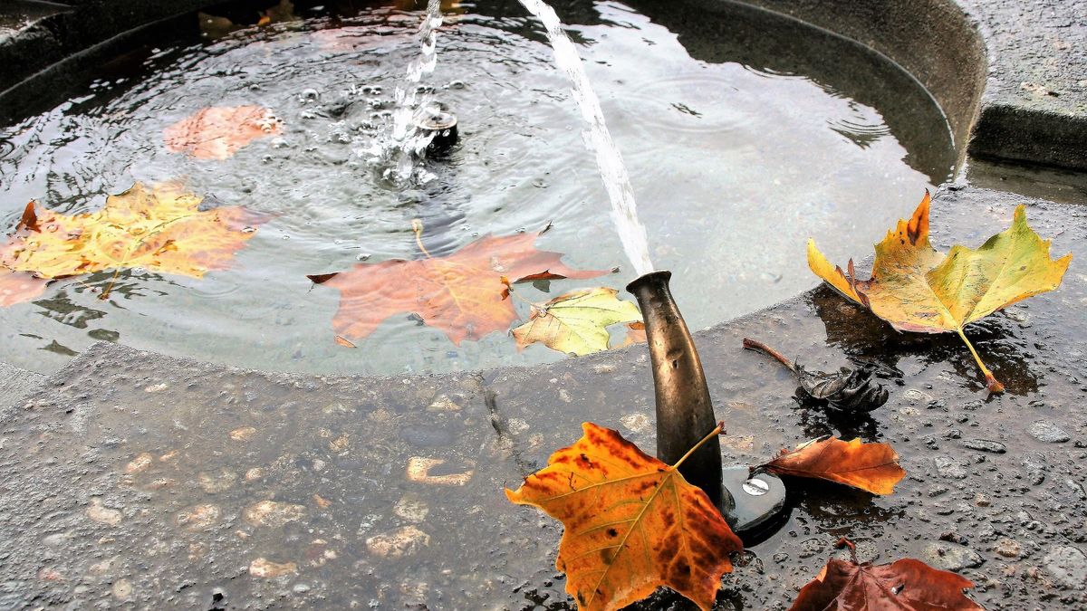 Zdjęcie ilustracyjne. 