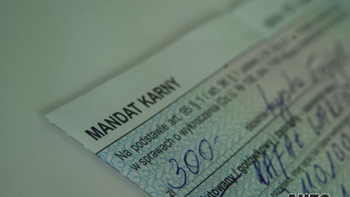 44 osoby zostały ukarane mandatami karnymi